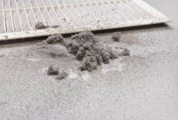 Best Dryer Vent Cleaning Services  in Rancho Alegre, TX