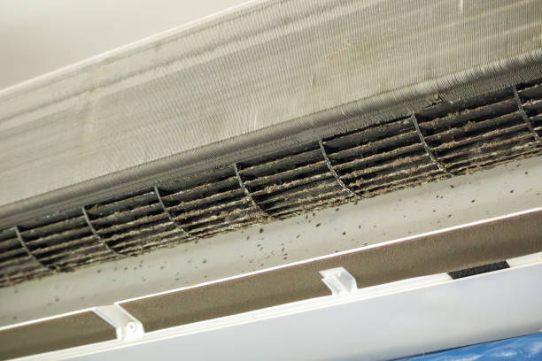 Best Air Vent Cleaning Services  in Rancho Alegre, TX